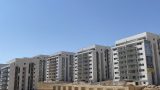 savyonei-harish-02