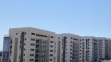 savyonei-harish-04